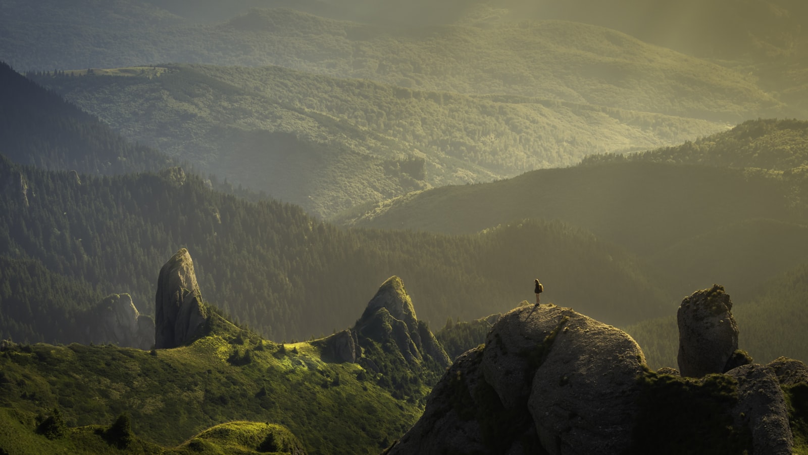 Soft, diffused light falling gently across a misty landscape.