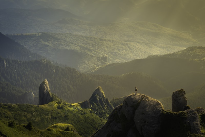 Soft, diffused light falling gently across a misty landscape.