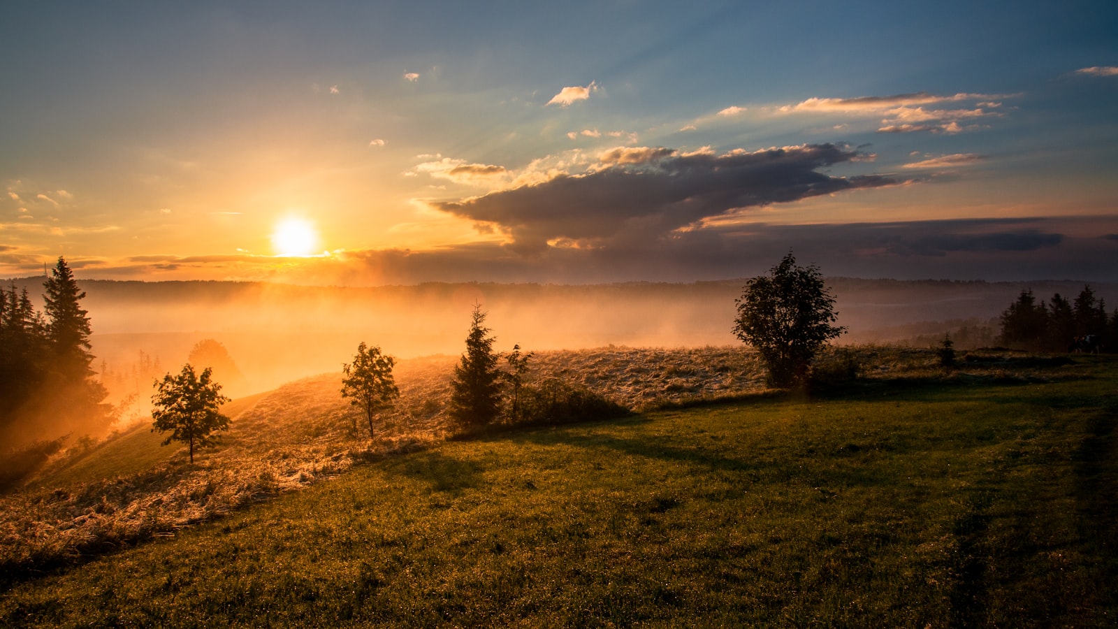 A wide landscape with the horizon placed low in the frame under an open sky.